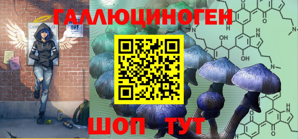 Псилоцибиновые грибы Psilocybine cubensis  Вход с VPN  Новый Уренгой 